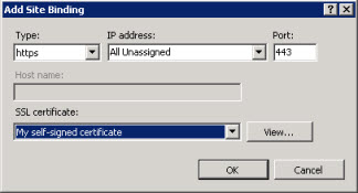 New binding in IIS Manager New binding in IIS Manager